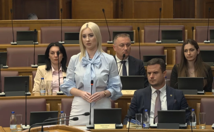 Gorcevic: EU membership brings structural reforms and sustainable development