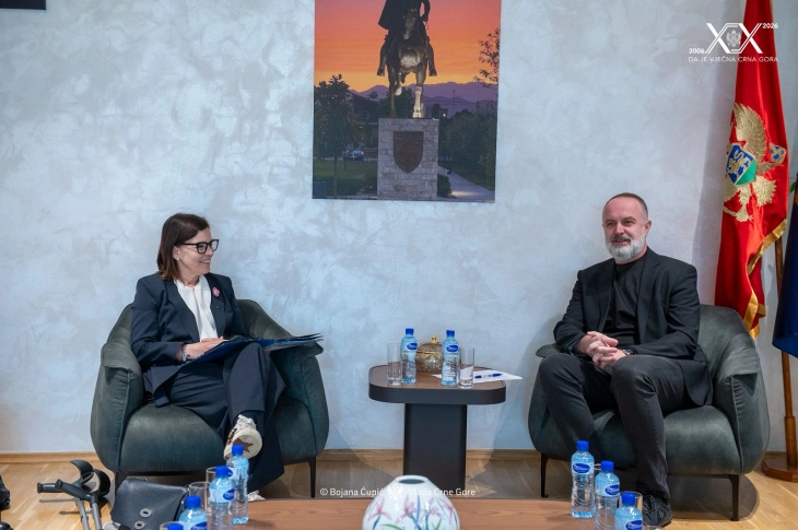 Efforts underway on improving business environment and strengthening competitiveness