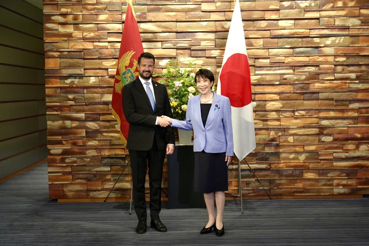 Montenegro and Japan can enhance economic cooperation in different fields