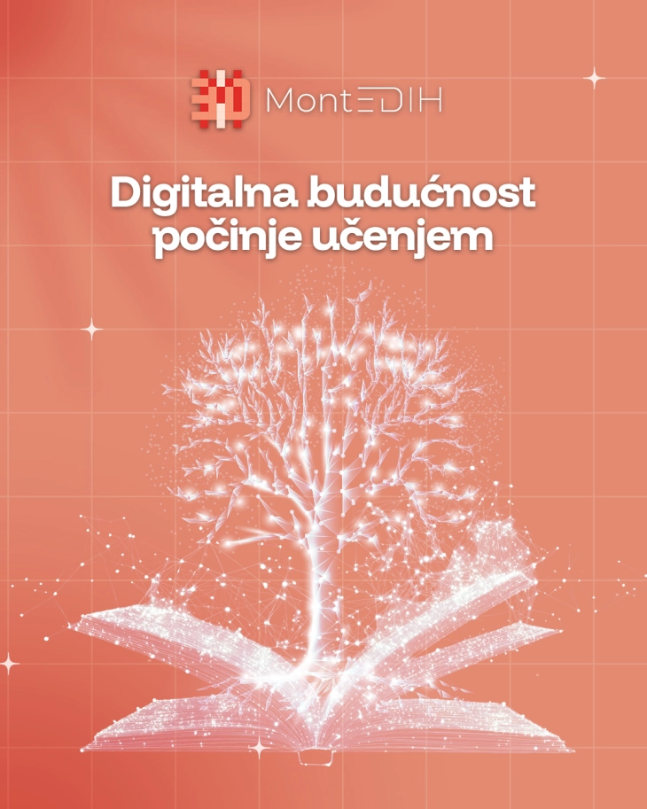 Free technical support for digital transformation available to institutions