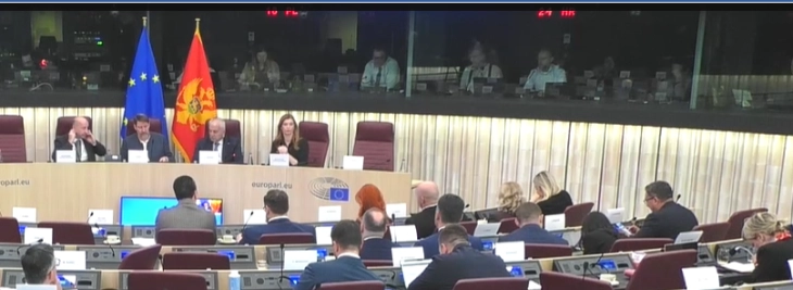 Formation of working party to draft Accession Treaty signals Montenegro is on right track