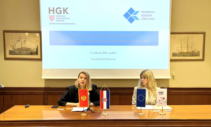 Raising cooperation between the two countries to the level of strategic investments