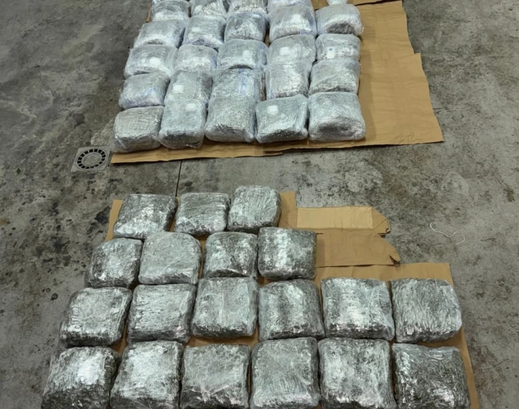 Službenici granične policije spriječili krijumčarenje 63 kg marihuane