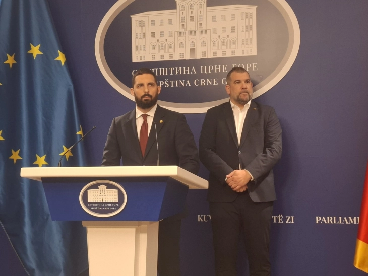 Krapović: Posjeta Rutea snažna politička poruka kredibilnoj članici NATO-a