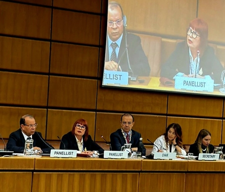 Pavličić: Država koja kontroliše oružje štiti život
