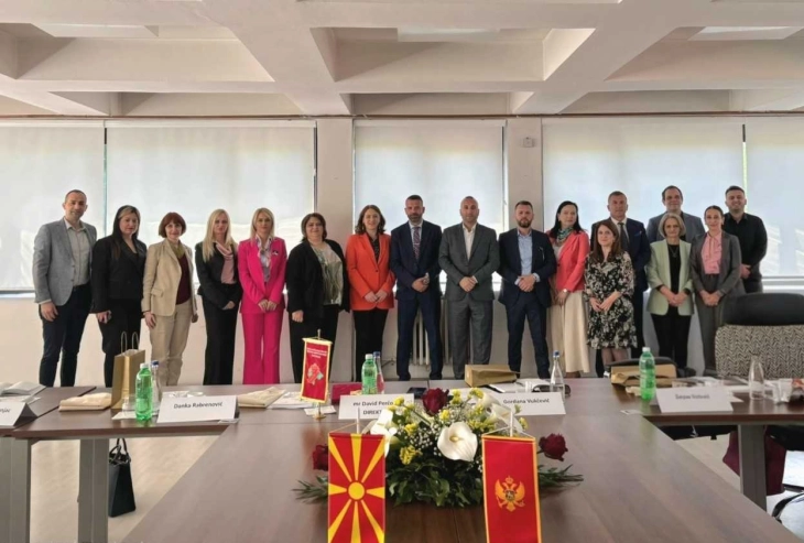 Strengthening regional employment cooperation between Montenegro and North Macedonia