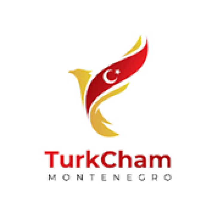 Polat: Turkiye largest single investor