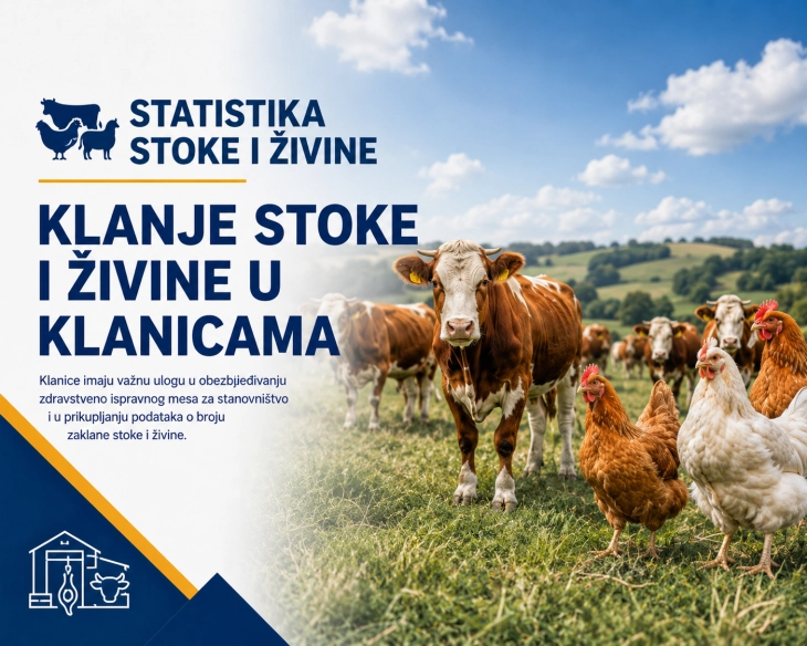 Manje zaklanih goveda u prvom kvartalu