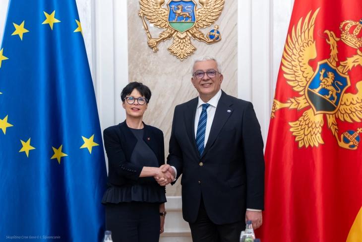 Kos: Montenegro’s European future to come before party divisions
