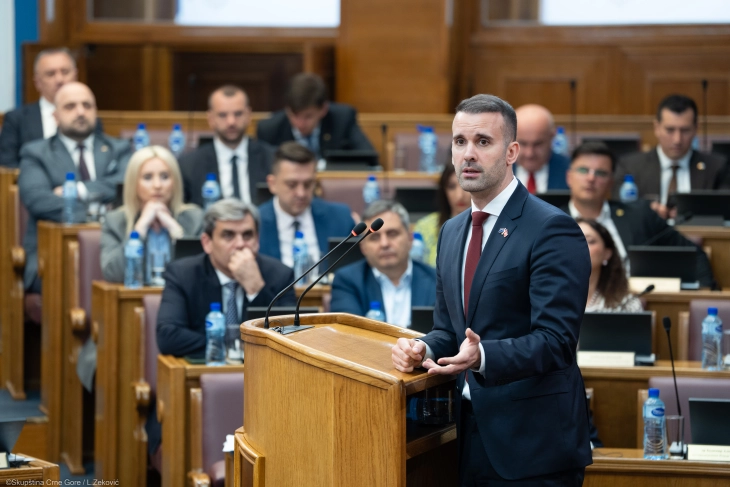 Spajic: Foreign policy factors and criminal groups act together against the county’s EU path