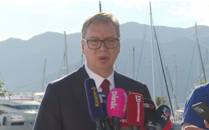 Vucic: Activists, not criminals, were returned from Tivat airport