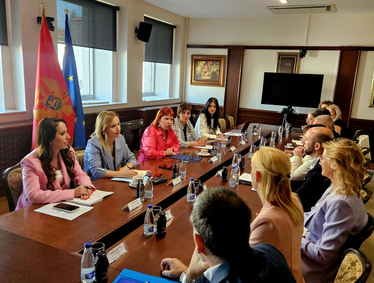Vrhovni sud Crne Gore i Sud BiH unapređuju saradnju u proces