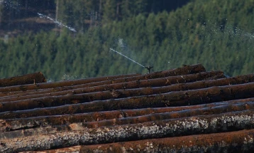 Krivična prijava protiv Beranca zbog šumske krađe 