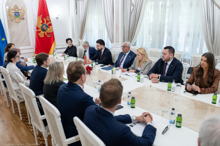 Mandić: Važna podrška francuskog parlamenta Crnoj 