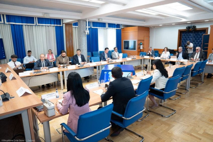 Radovanović, Drljević, Škrijelj i Lacmanović predloženi za S