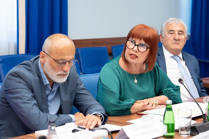 Pavličić: Svaka grana vlasti da preuzme odgovornost, pravoduđe ne može samo nositi teret vladavine prava