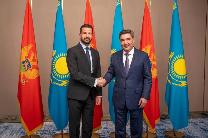 Stronger investment and trade ties offer significant cooperation potential 