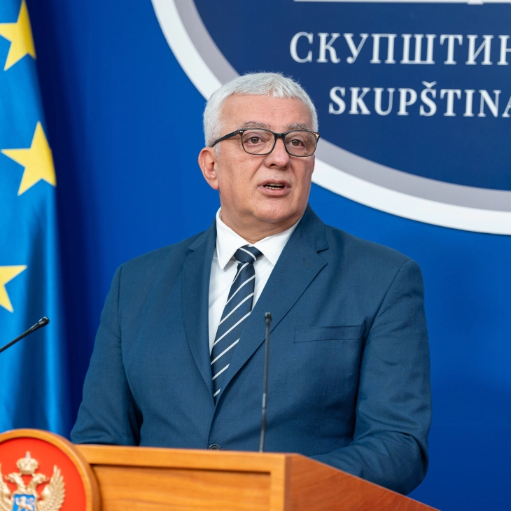 Mandić: U četvrtak i petak rasprava o izmjenama Ustava