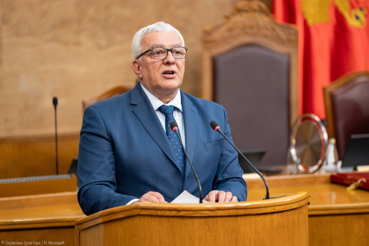 Mandic: Debate on constitutional amendments to be held on Thursday and Friday