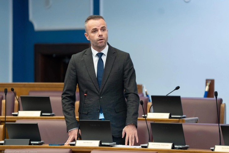 Omeragić: Crna Gora ne smije propustiti istorijsku šansu za članstvo u EU