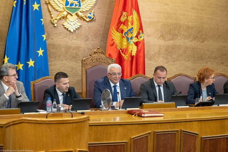 Mandić: Vjerujem da već u petak možemo izabrati sudije Ustavnog suda