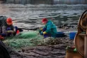 Dodjeljuju sredstva podsticaja aktivnostima u sektoru ribarstva