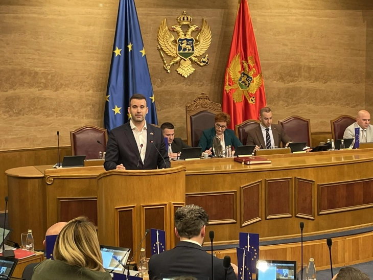 Spajić pozdravio pokretanje procedure za izmjene Ustava