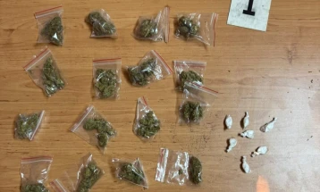 Pojačane kontrole na Velikoj plaži, zbog droge uhapšene tri osobe