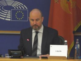 Vladimir Bilčik, Evropska unija, Crna Gora