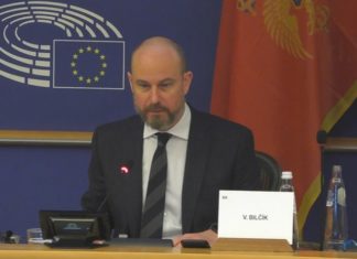 Vladimir Bilčik, Evropska unija, Crna Gora
