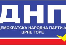 Demokratskea narodna partija, DNP, vlada, podrška