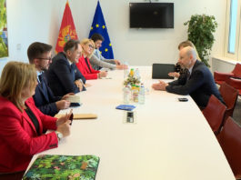 ranko krivokapić,vladimir bilčik, crna gora, eu