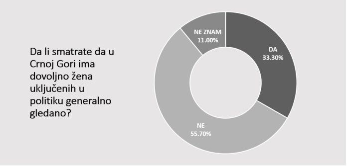 istraživanje agencije MINA i CeMI