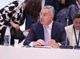 Milo Đukanović, Proces saradnje u jugoistočnoj Evropi, SEECP, Solun