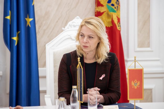 Danijela Đurović,Ustavni odbor, javni poziv, ustavni sud, simonida kordić