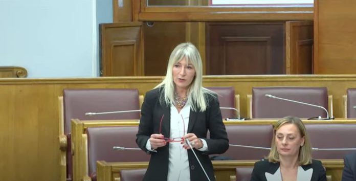 Maja Jovanović, VDT, Tužilački savjet