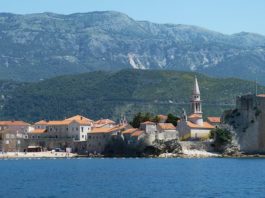 budva, izbori