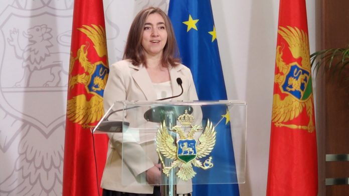Biljana Šćepanović, Ministarstvo kulture i tehnološkog razvoja, Međunarodni dan žena i djevojaka u nauci