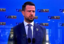 Jakov Milatovic, NATO samit u Viljnusu