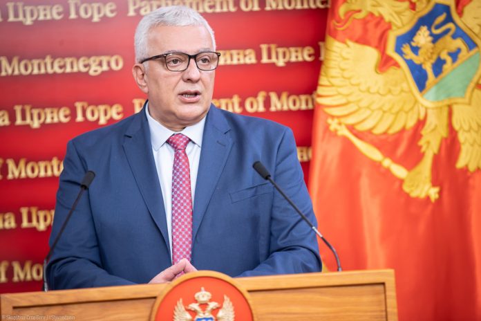 predsjednik Skupštine Crne Gore Andrija Mandić, sjednica skupštine, ustavni sud