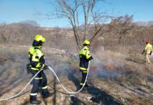 obuka za gasenje sumskih pozara