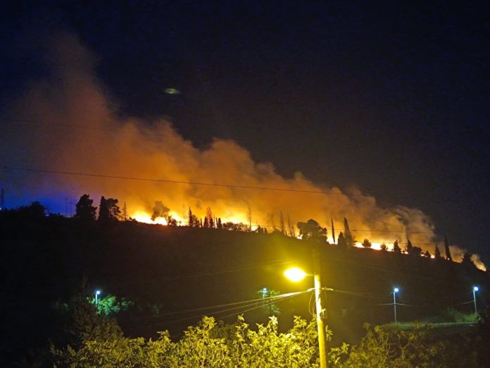 pozar na brdu Gorica