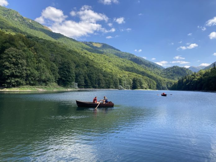 dan ekološke države, crna gora