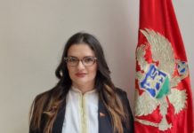 jelena marković, crnogorski i građanski pokret, ustavni sud, opština nikšić