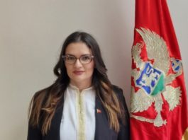 jelena marković, crnogorski i građanski pokret, ustavni sud, opština nikšić
