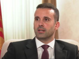 milojko spajić,