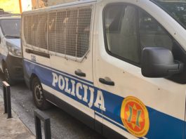 policija 1, berane, šuma, bespravna sječa