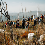 pošljumljavanje planine Vojnik, savez izviđača crne gore