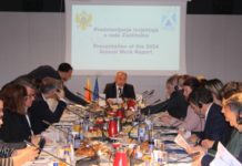 ombudsman, izvještaj, siniša bjeković