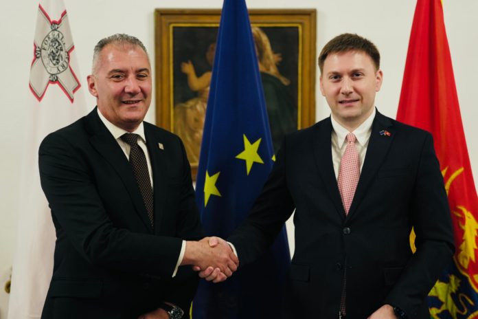ministarstvo zdravlja, nabavka ljekova, malta, pilot projekat